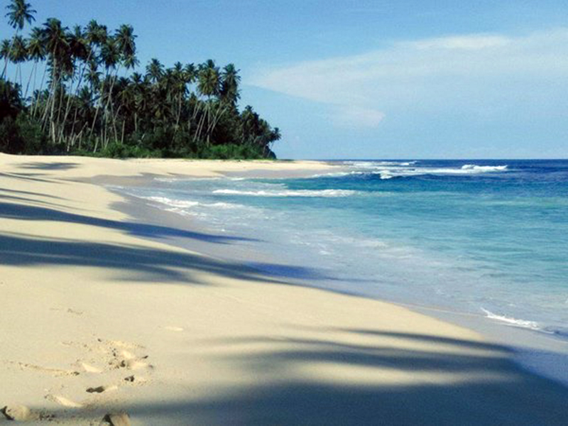 Pantai Pasir Tinggi Pantai Pasir Tinggi
